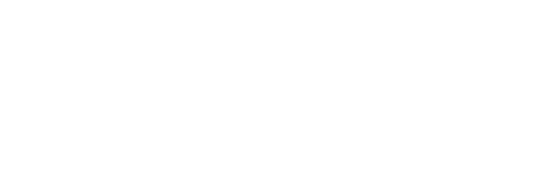 Salesforce Partner